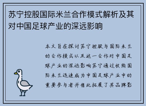 苏宁控股国际米兰合作模式解析及其对中国足球产业的深远影响 苏宁控股国际米兰合作模式解析及其对中国足球产业的深远影响